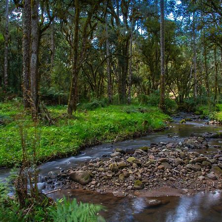 Вилла Refugio Tres Catarinas Урубиси Экстерьер фото
